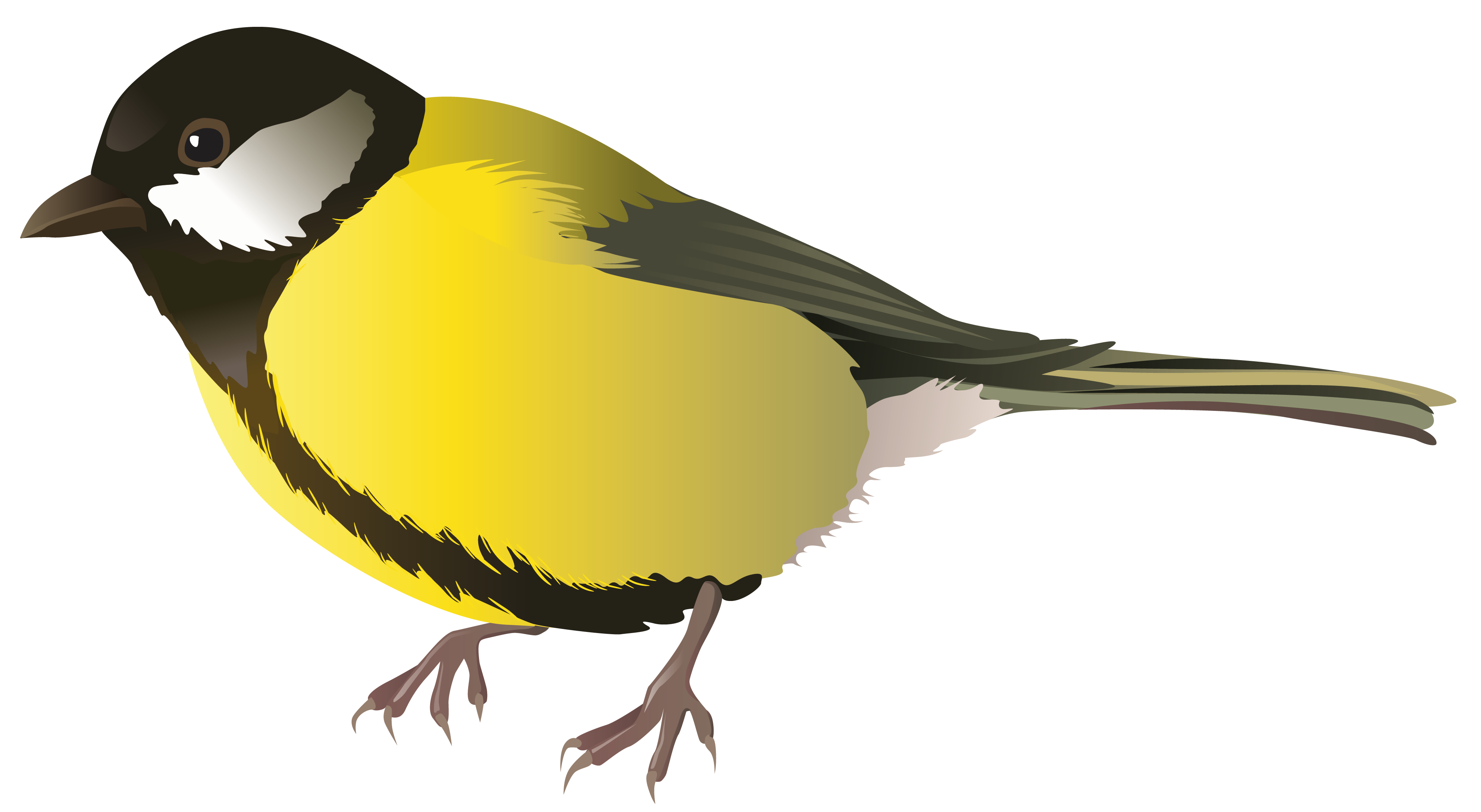 PA001