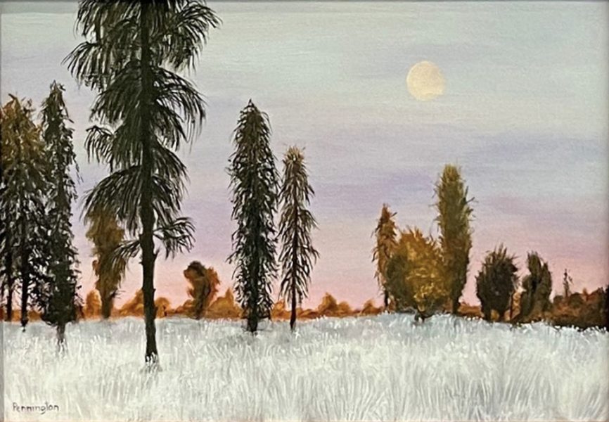 Gallery 1 - Brushwood Center